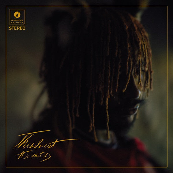 Thundercat Record Cover Vinyl