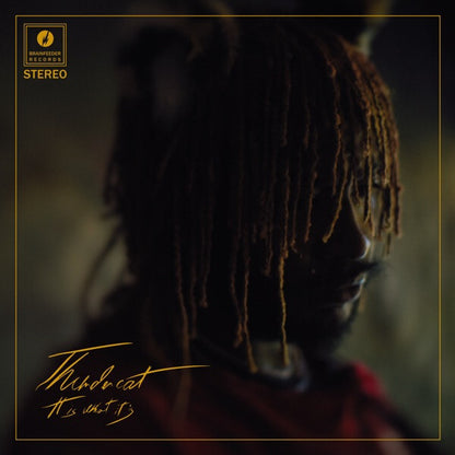 Thundercat Record Cover Vinyl