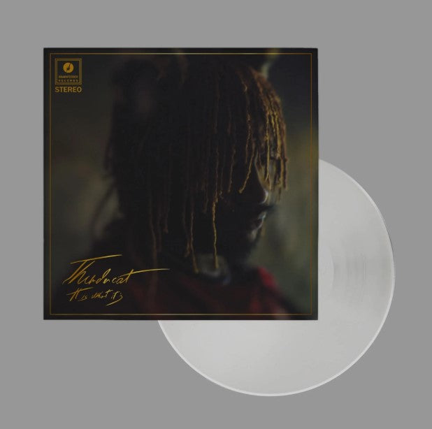 Thundercat Record Cover Pull Out Vinyl